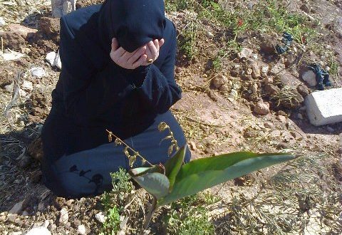 الفقدان